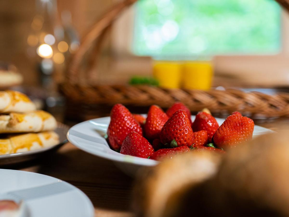 فندق Treehous Sneznik S Wellness Dolní Morava المظهر الخارجي الصورة