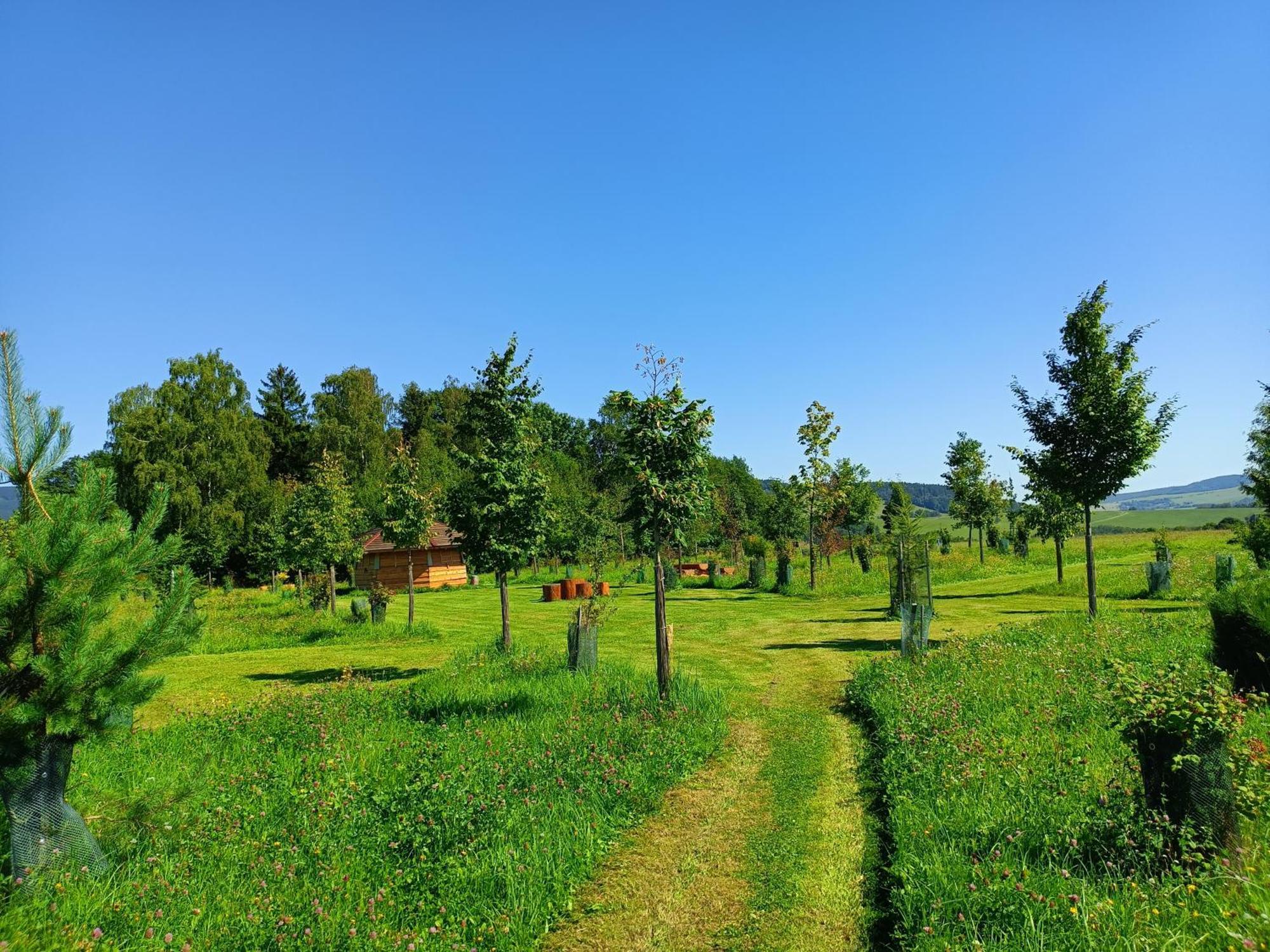 فندق Treehous Sneznik S Wellness Dolní Morava المظهر الخارجي الصورة